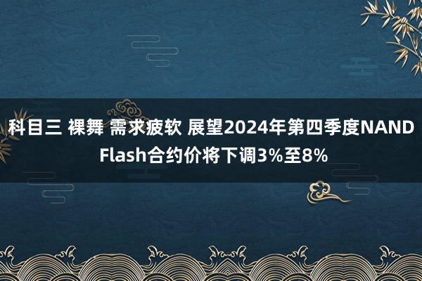 科目三 裸舞 需求疲软 展望2024年第四季度NAND Flash合约价将下调3%至8%