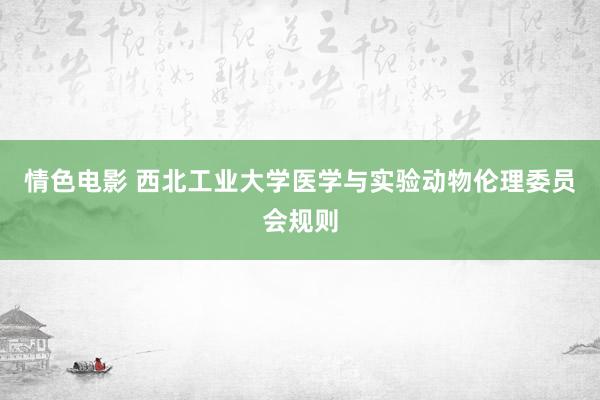 情色电影 西北工业大学医学与实验动物伦理委员会规则