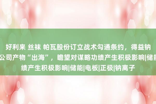 好利来 丝袜 帕瓦股份订立战术勾通条约，得益钠电产物大单，助力公司产物“出海”，瞻望对谋略功绩产生积极影响|储能|电板|正极|钠离子